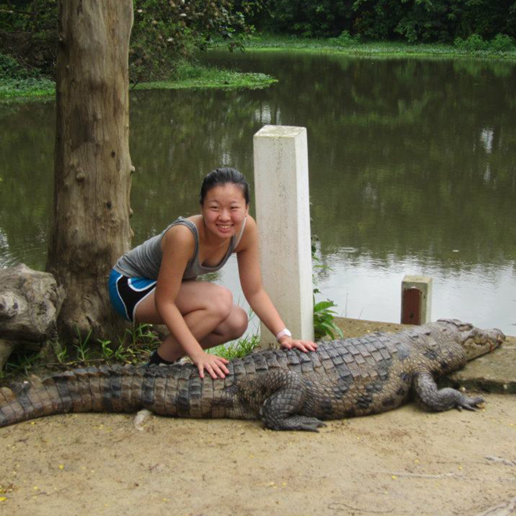 Paga Crocodile