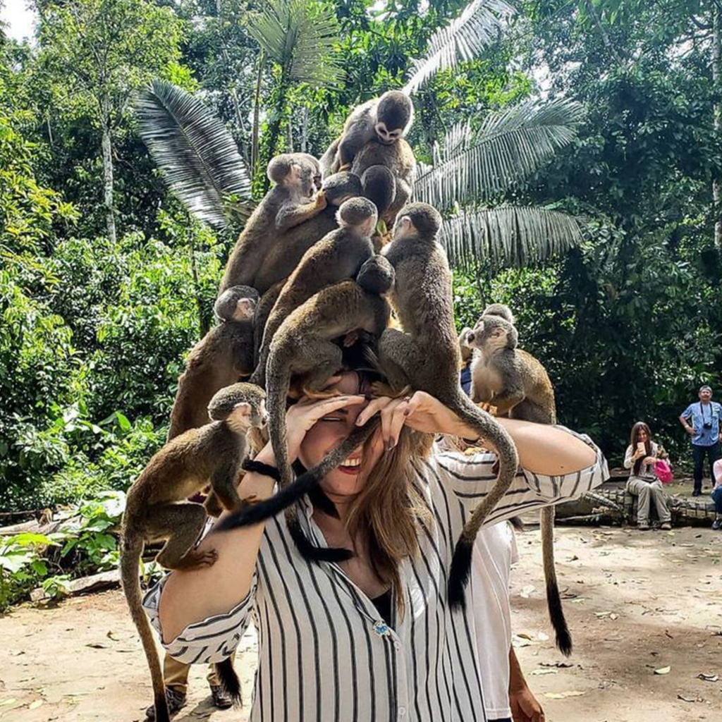 Atafi Atome Monkey Sanctuary