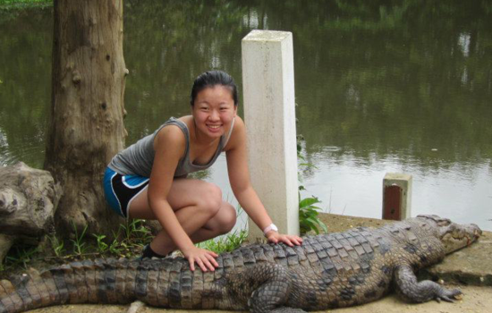 Paga Crocodile